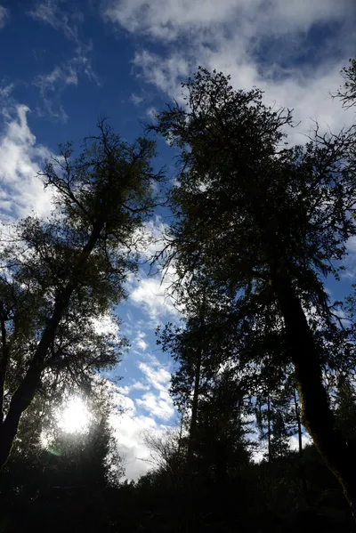 DSC_0912 (Large).JPG